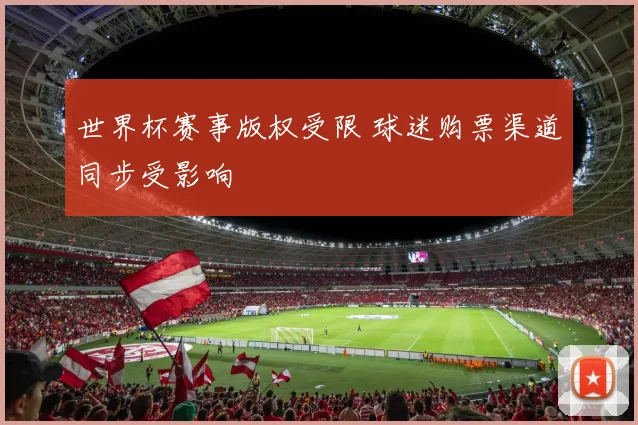 世界杯赛事版权受限 球迷购票渠道同步受影响